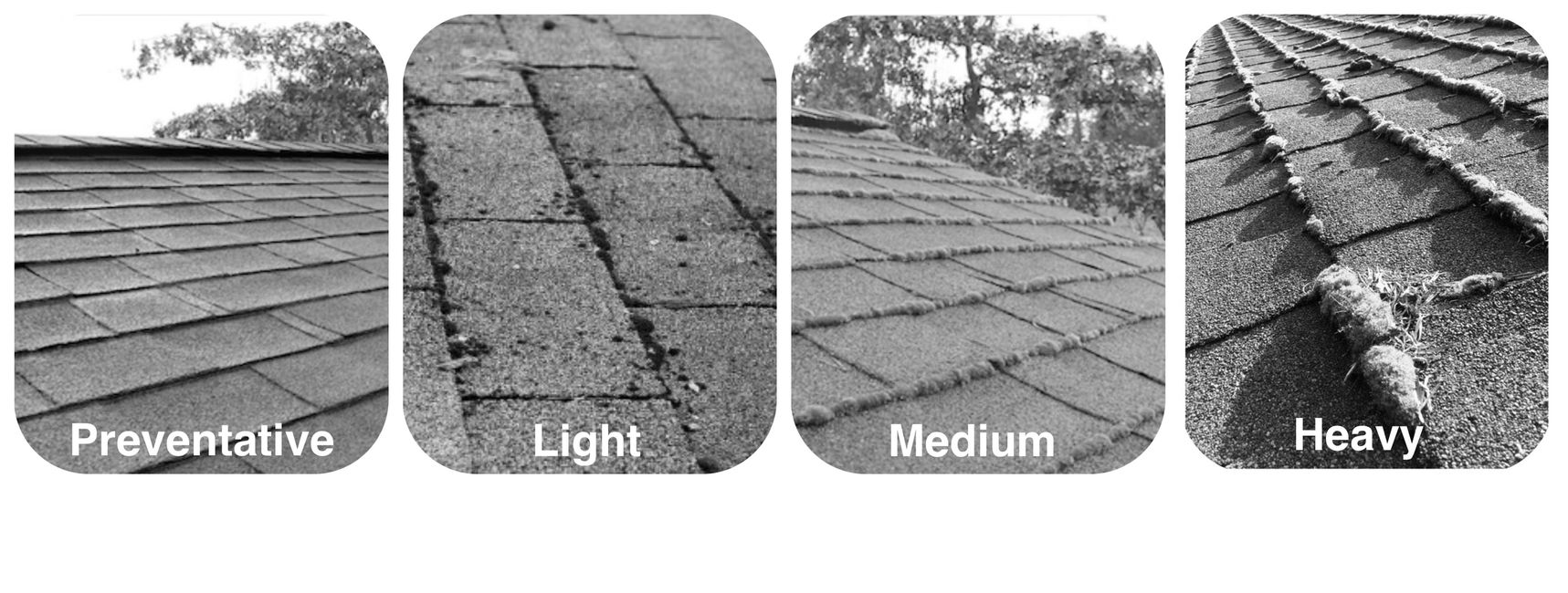 Roof Moss Treatment Clear Skies Cleaning